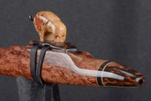 Southeast Asian Rosewood Burl Native American Flute, Minor, Mid G-4, #T7K (5)